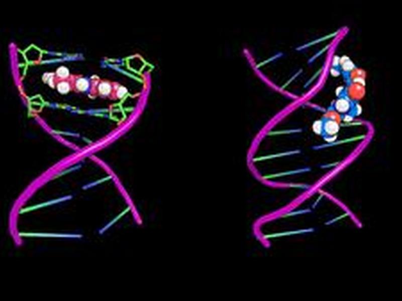 Swri Develops Novel Dna-targeting Therapeutic Screening Technique