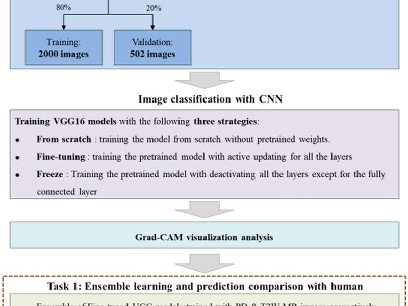 Automatic Detection And Visualization Of Temporomandibular Joint Effusion With Deep Neural Network