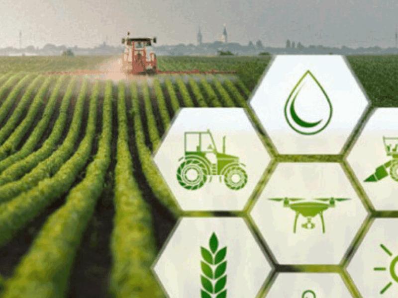 The Role Of Big Data In Revolutionizing Indian Agriculture