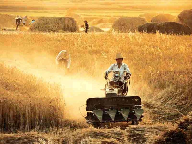 From Agrarianism To Transhumanism: The Long March To Dystopia