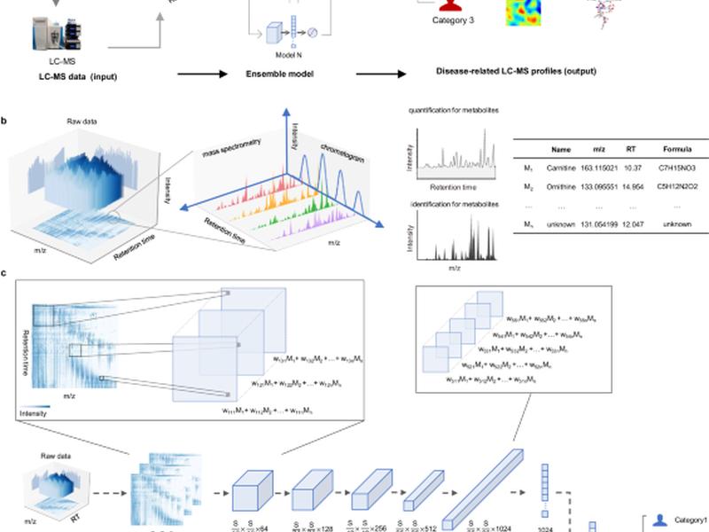 An End-to-end Deep Learning Method For Mass Spectrometry Data Analysis To Reveal Disease-specific Metabolic Profiles