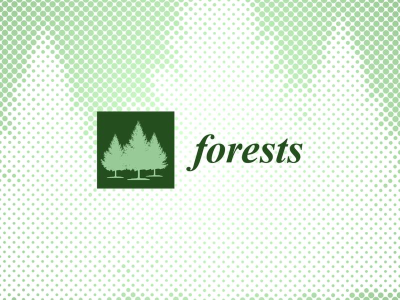 Cutting-edge Solutions In Advanced Forestry: Integrating Sensors, Ai, Iot, Robotics, And Connectivity
