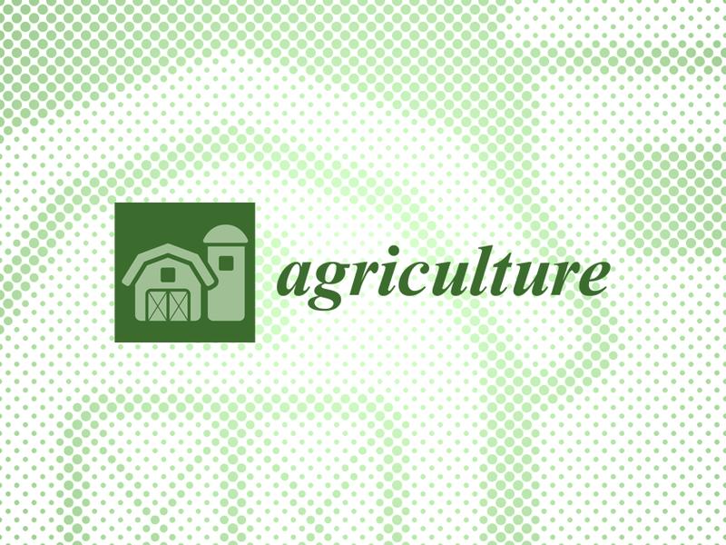 Combining Machine Learning Algorithms With Earth Observations For Crop Monitoring And Management