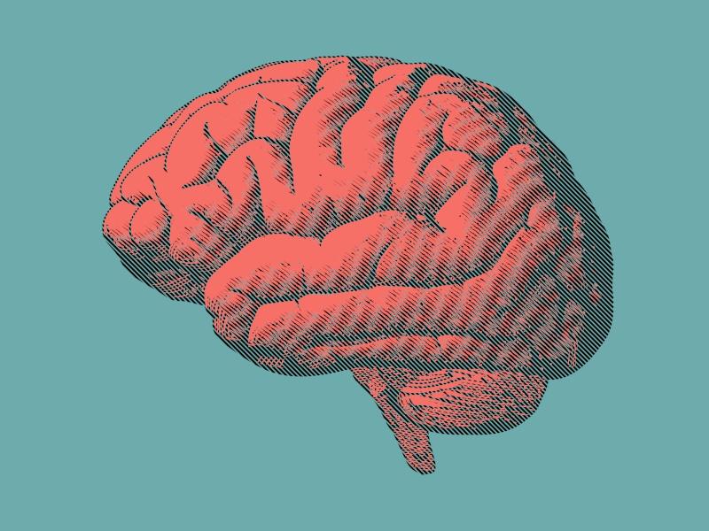 Using Ai To Develop 3d Images Of Brain Tumours